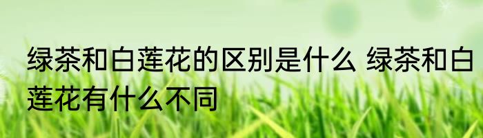 绿茶和白莲花的区别是什么 绿茶和白莲花有什么不同