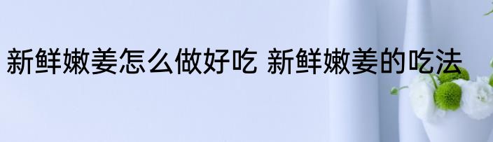 新鲜嫩姜怎么做好吃 新鲜嫩姜的吃法