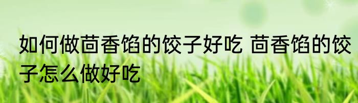 如何做茴香馅的饺子好吃 茴香馅的饺子怎么做好吃