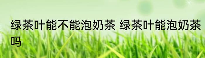 绿茶叶能不能泡奶茶 绿茶叶能泡奶茶吗