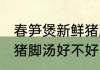春笋煲新鲜猪脚汤可以吗 春笋煲新鲜猪脚汤好不好