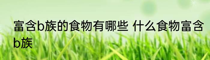 富含b族的食物有哪些 什么食物富含b族