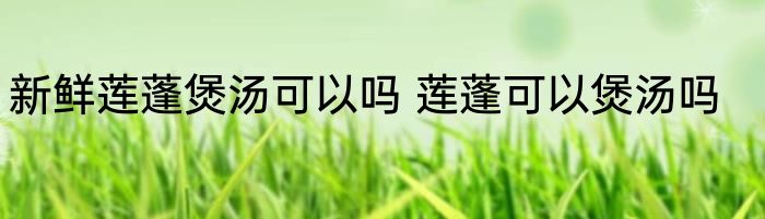 新鲜莲蓬煲汤可以吗 莲蓬可以煲汤吗