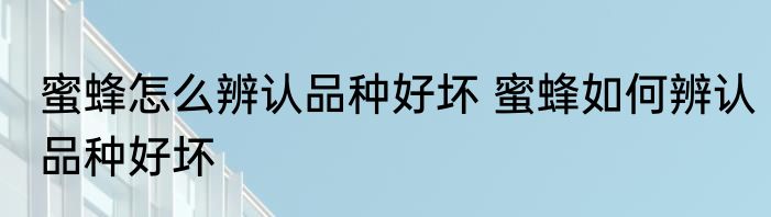 蜜蜂怎么辨认品种好坏 蜜蜂如何辨认品种好坏