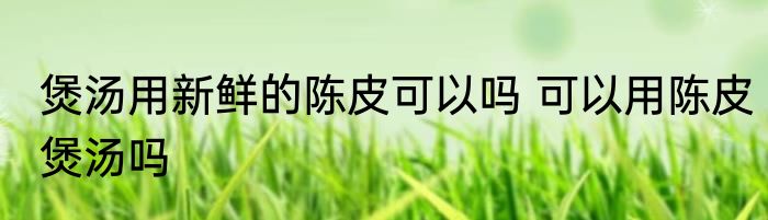 煲汤用新鲜的陈皮可以吗 可以用陈皮煲汤吗