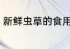 新鲜虫草的食用方法 新鲜虫草怎么吃