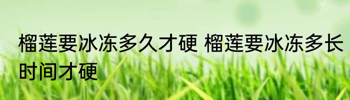 榴莲要冰冻多久才硬 榴莲要冰冻多长时间才硬