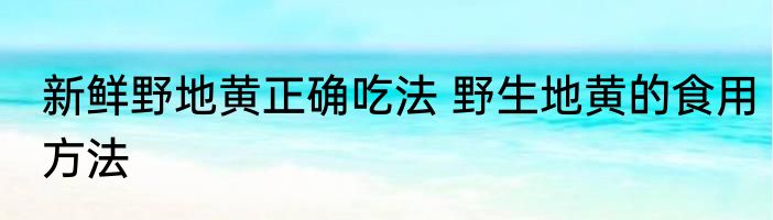 新鲜野地黄正确吃法 野生地黄的食用方法
