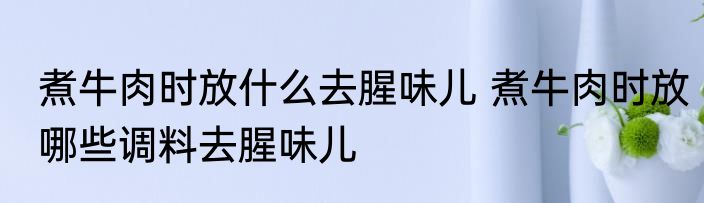 煮牛肉时放什么去腥味儿 煮牛肉时放哪些调料去腥味儿