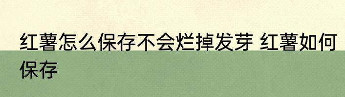 红薯怎么保存不会烂掉发芽 红薯如何保存