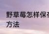 野草莓怎样保存长久不烂 野草莓保存方法
