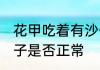 花甲吃着有沙子正常吗 花甲吃着有沙子是否正常