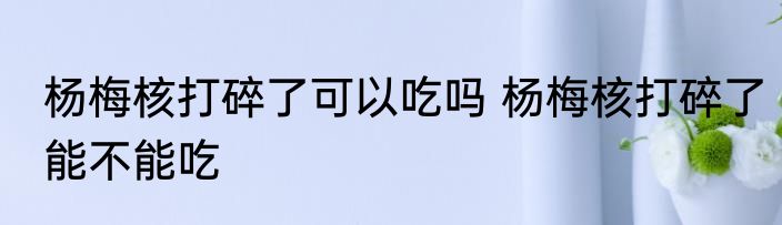 杨梅核打碎了可以吃吗 杨梅核打碎了能不能吃