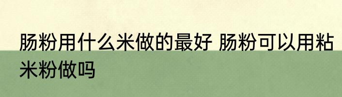 肠粉用什么米做的最好 肠粉可以用粘米粉做吗