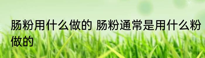 肠粉用什么做的 肠粉通常是用什么粉做的