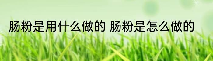 肠粉是用什么做的 肠粉是怎么做的