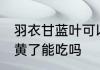 羽衣甘蓝叶可以生吃吗 羽衣甘蓝叶子黄了能吃吗