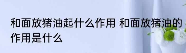 和面放猪油起什么作用 和面放猪油的作用是什么