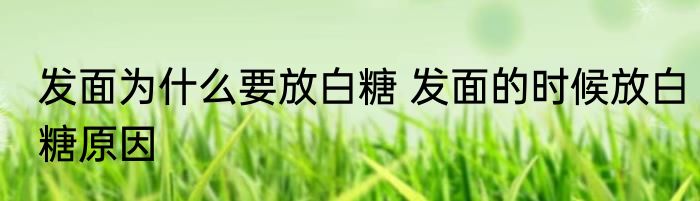 发面为什么要放白糖 发面的时候放白糖原因