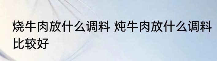 烧牛肉放什么调料 炖牛肉放什么调料比较好