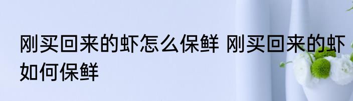 刚买回来的虾怎么保鲜 刚买回来的虾如何保鲜