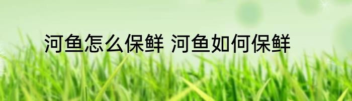 河鱼怎么保鲜 河鱼如何保鲜