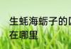 生蚝海蛎子的区别 海蛎和生蚝的区别在哪里