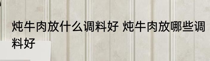 炖牛肉放什么调料好 炖牛肉放哪些调料好
