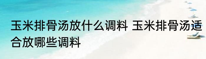 玉米排骨汤放什么调料 玉米排骨汤适合放哪些调料
