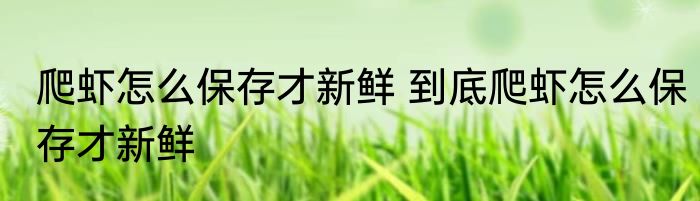 爬虾怎么保存才新鲜 到底爬虾怎么保存才新鲜