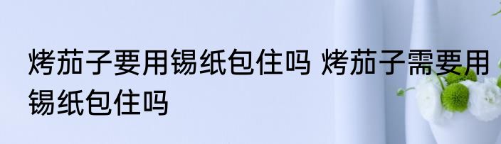 烤茄子要用锡纸包住吗 烤茄子需要用锡纸包住吗