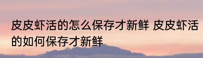 皮皮虾活的怎么保存才新鲜 皮皮虾活的如何保存才新鲜