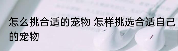 怎么挑合适的宠物 怎样挑选合适自己的宠物