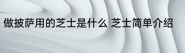 做披萨用的芝士是什么 芝士简单介绍