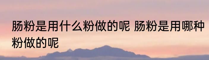 肠粉是用什么粉做的呢 肠粉是用哪种粉做的呢