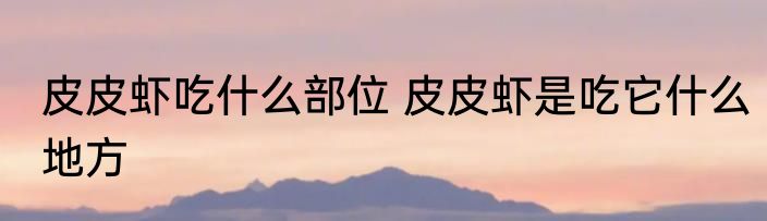 皮皮虾吃什么部位 皮皮虾是吃它什么地方