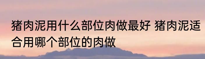 猪肉泥用什么部位肉做最好 猪肉泥适合用哪个部位的肉做