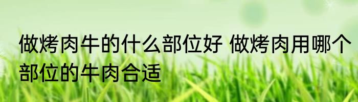 做烤肉牛的什么部位好 做烤肉用哪个部位的牛肉合适