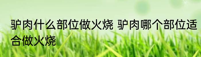 驴肉什么部位做火烧 驴肉哪个部位适合做火烧