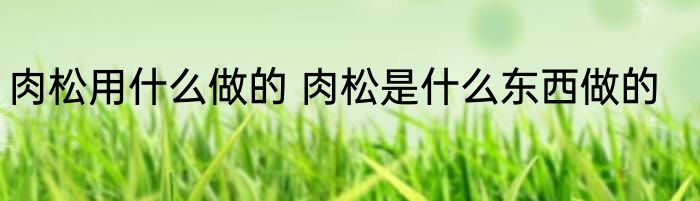 肉松用什么做的 肉松是什么东西做的