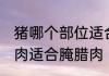 猪哪个部位适合腌腊肉 猪什么位置的肉适合腌腊肉