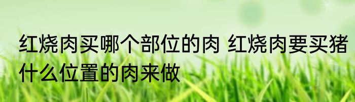 红烧肉买哪个部位的肉 红烧肉要买猪什么位置的肉来做