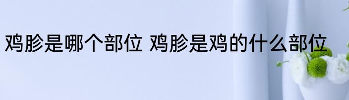 鸡胗是哪个部位 鸡胗是鸡的什么部位