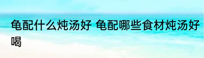 龟配什么炖汤好 龟配哪些食材炖汤好喝