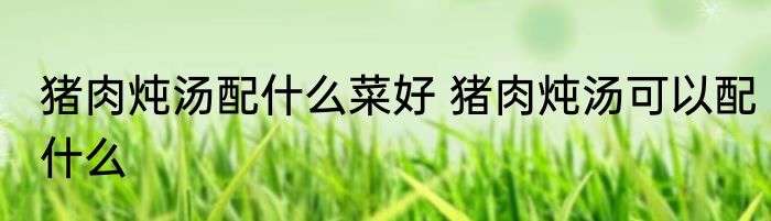 猪肉炖汤配什么菜好 猪肉炖汤可以配什么