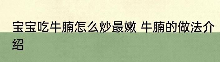 宝宝吃牛腩怎么炒最嫩 牛腩的做法介绍