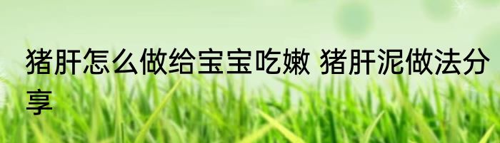 猪肝怎么做给宝宝吃嫩 猪肝泥做法分享