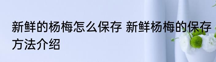 新鲜的杨梅怎么保存 新鲜杨梅的保存方法介绍