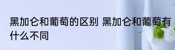 黑加仑和葡萄的区别 黑加仑和葡萄有什么不同