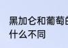 黑加仑和葡萄的区别 黑加仑和葡萄有什么不同